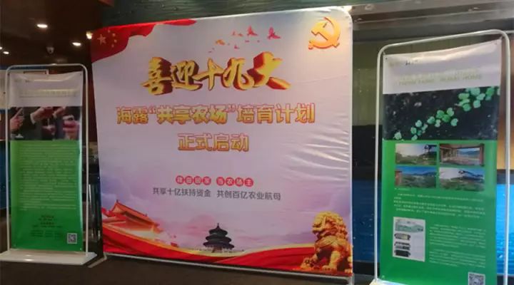 ��ҳ- �Ϲ�NG28�������ֹٷ���վ