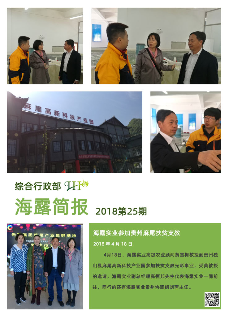 ��ҳ- �Ϲ�NG28�������ֹٷ���վ