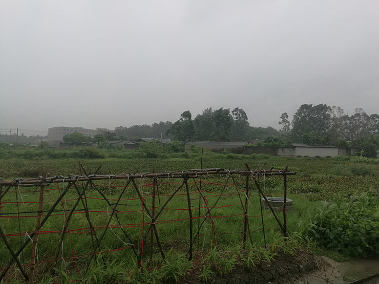 ��ҳ- �Ϲ�NG28�������ֹٷ���վ