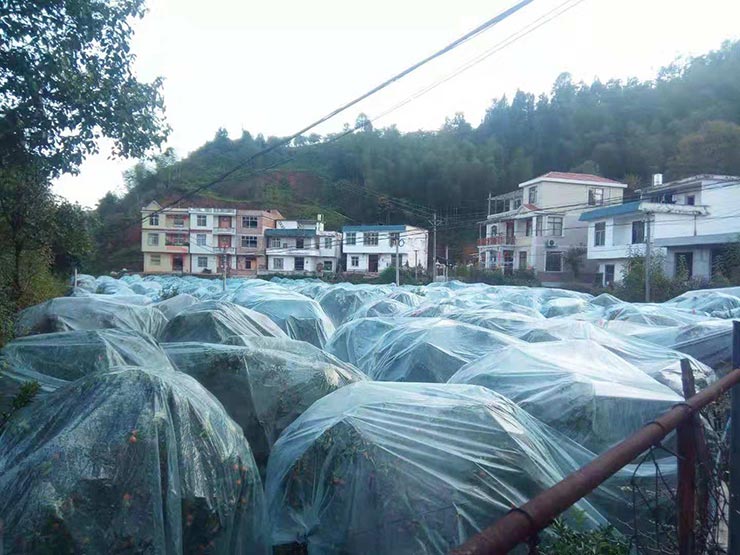 ��ҳ- �Ϲ�NG28�������ֹٷ���վ