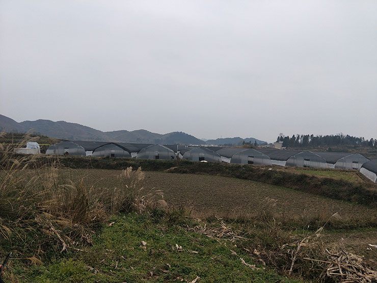 ��ҳ- �Ϲ�NG28�������ֹٷ���վ