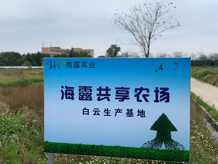 ��ҳ- �Ϲ�NG28�������ֹٷ���վ