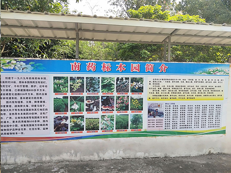 ��ҳ- �Ϲ�NG28�������ֹٷ���վ