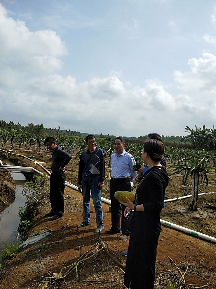 ��ҳ- �Ϲ�NG28�������ֹٷ���վ