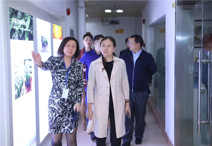 ��ҳ- �Ϲ�NG28�������ֹٷ���վ