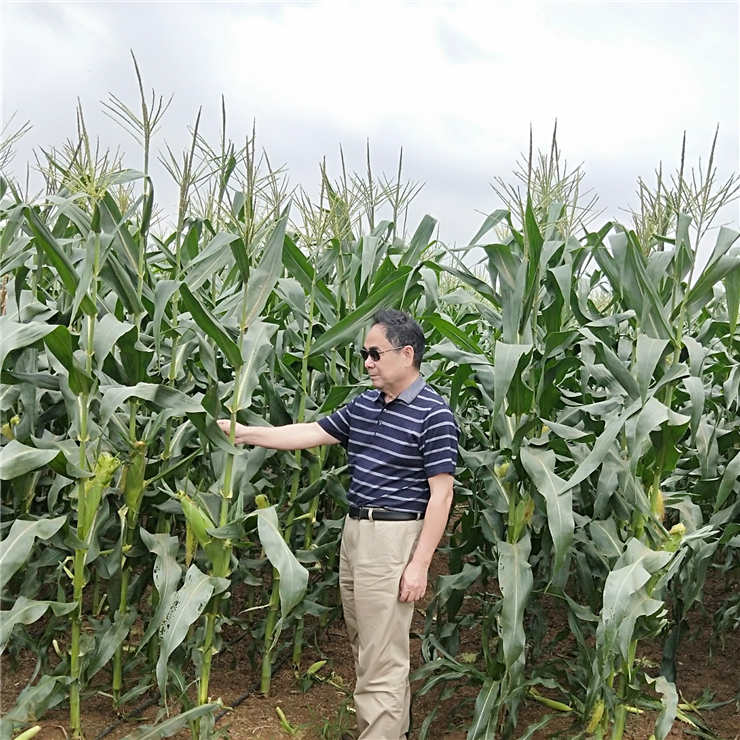 ��ҳ- �Ϲ�NG28�������ֹٷ���վ