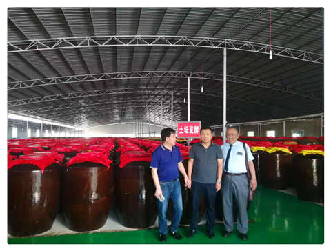 ��ҳ- �Ϲ�NG28�������ֹٷ���վ