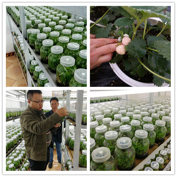 ��ҳ- �Ϲ�NG28�������ֹٷ���վ