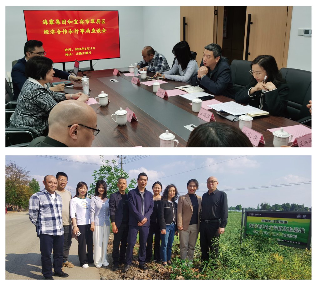 ��ҳ- �Ϲ�NG28�������ֹٷ���վ