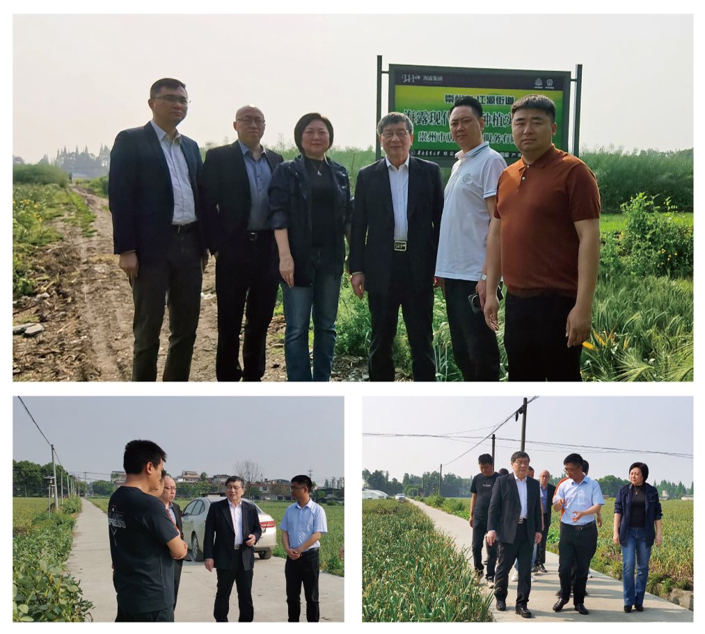 ��ҳ- �Ϲ�NG28�������ֹٷ���վ