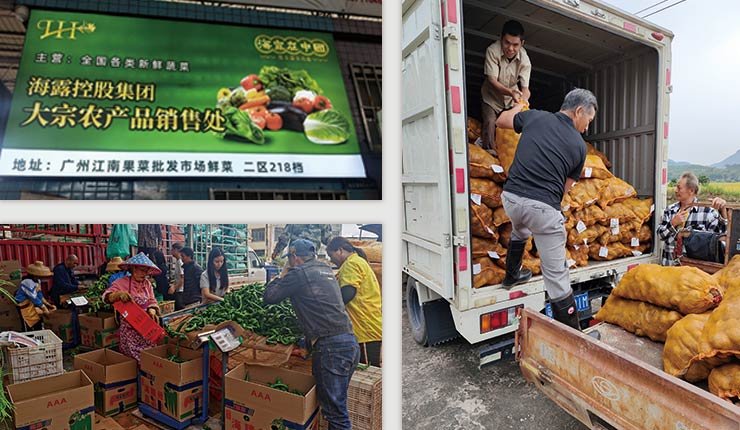 ��ҳ- �Ϲ�NG28�������ֹٷ���վ