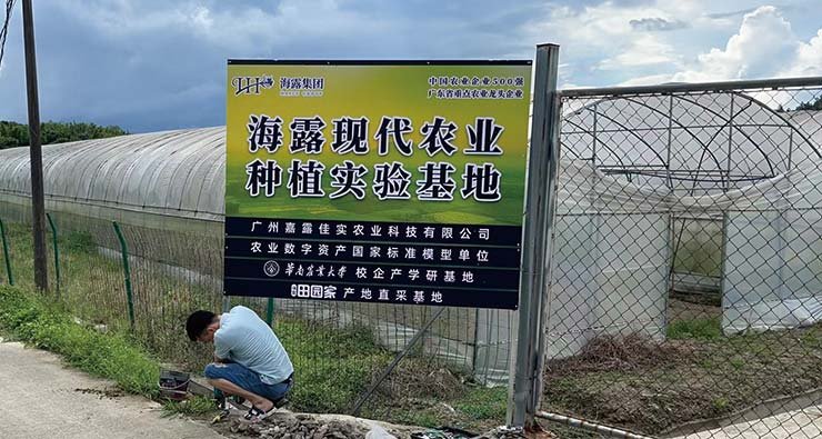 ��ҳ- �Ϲ�NG28�������ֹٷ���վ