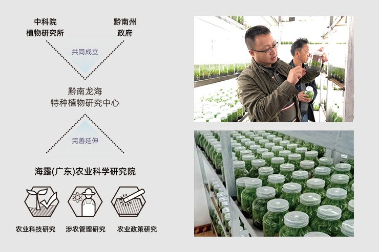 ��ҳ- �Ϲ�NG28�������ֹٷ���վ