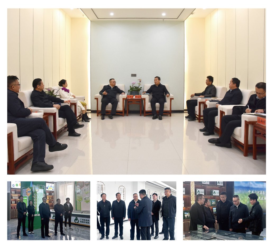 ��ҳ- �Ϲ�NG28�������ֹٷ���վ