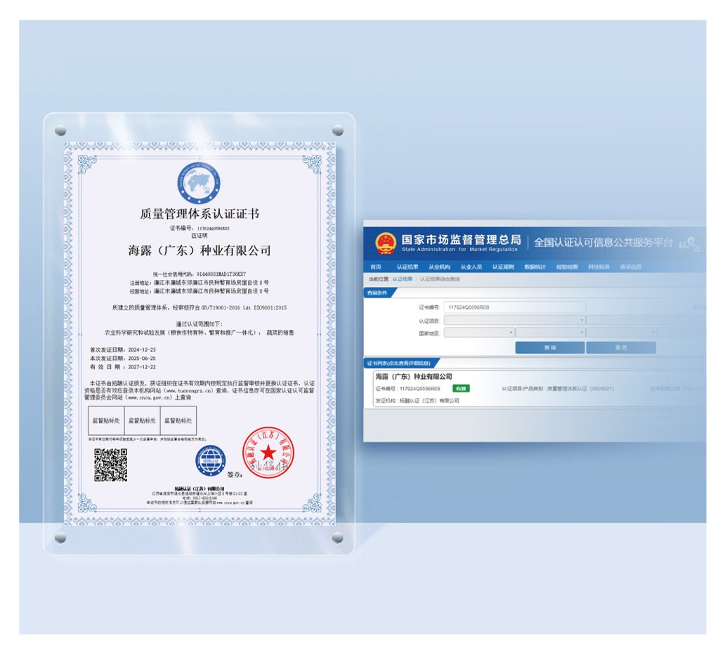 ��ҳ- �Ϲ�NG28�������ֹٷ���վ