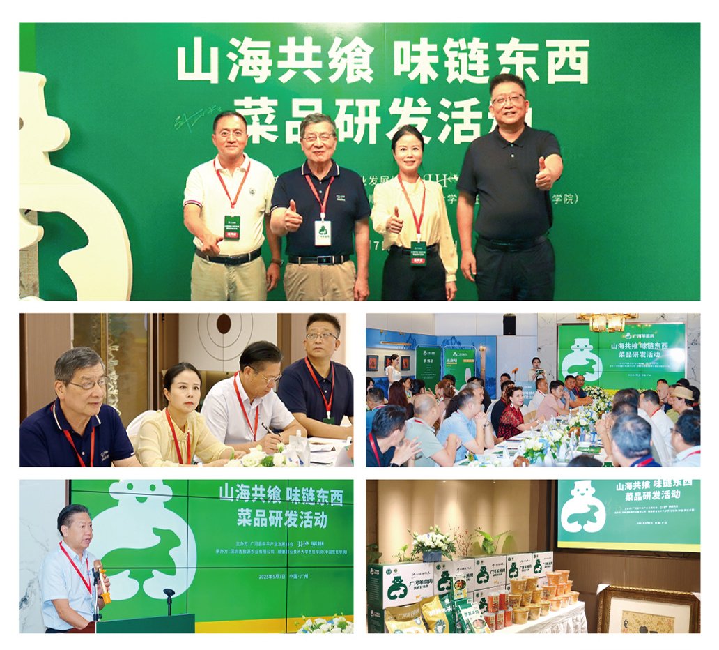 ��ҳ- �Ϲ�NG28�������ֹٷ���վ