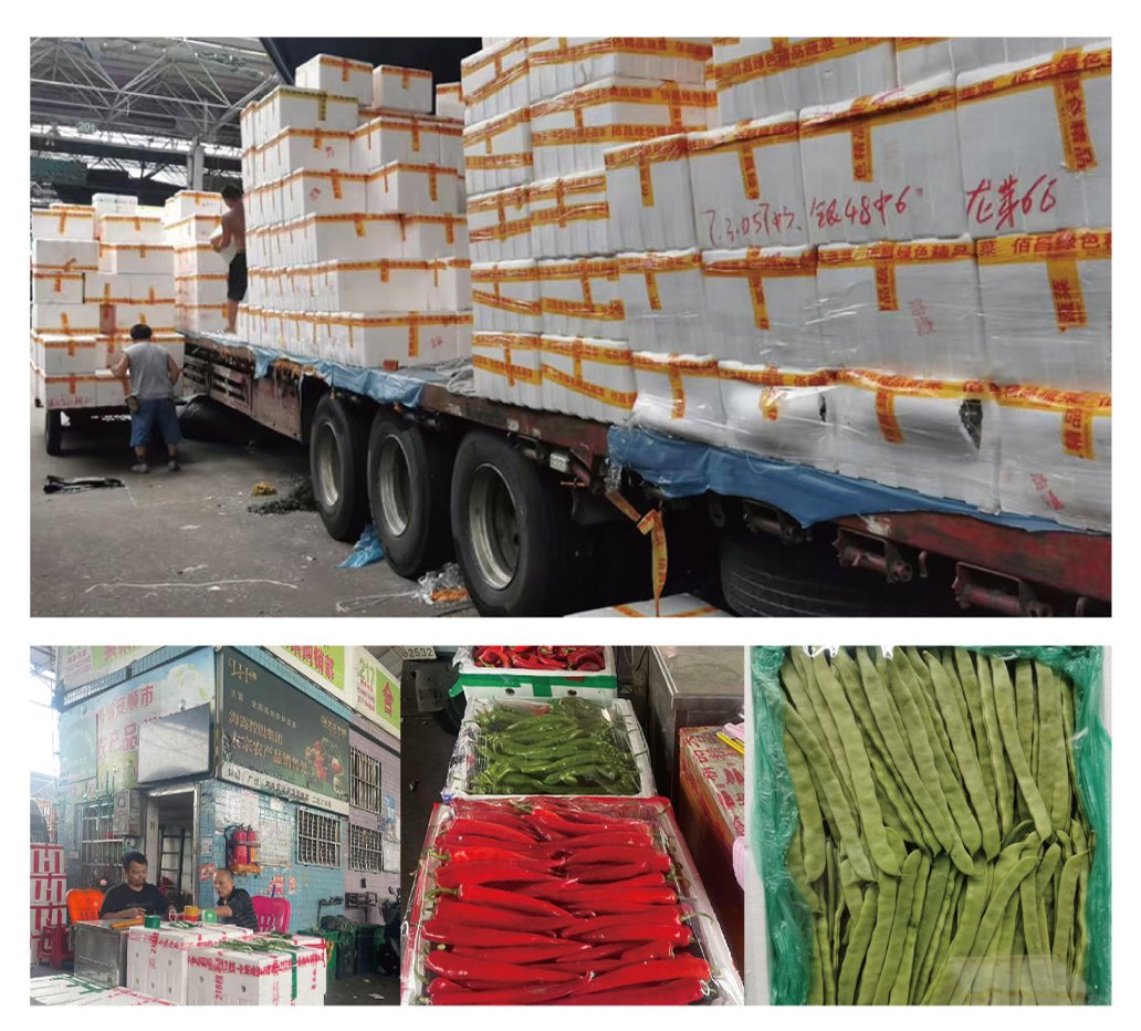 ��ҳ- �Ϲ�NG28�������ֹٷ���վ